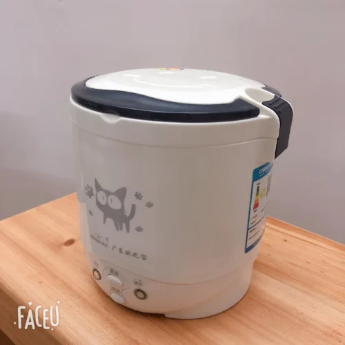 1L 110V Rice Cooker for Two with English Instructions