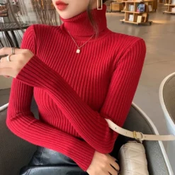 Casual Slim Knitted Pullover Sweater with Thick Turtleneck for Autumn Winter Wear