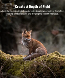 Alternative view of NEEWER HD Telephoto Lens for Phone Camera 7X Magnification Lens Attachment with 17mm Thread, 15 Elements 12 Groups