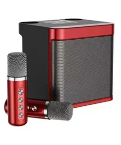 2-Microphone Bluetooth Speaker Set - Multifunctional Wireless and Portable