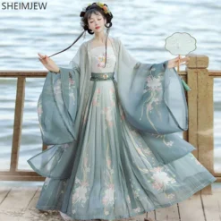 Traditional Chinese Dance Costume - Song Dynasty Embroidery Gradient Hanfu Dress for Women