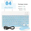 sky blue-and mouse